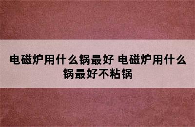 电磁炉用什么锅最好 电磁炉用什么锅最好不粘锅